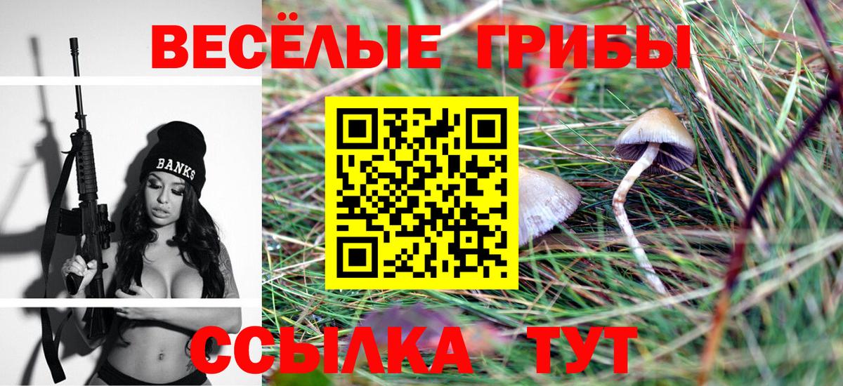 Галлюциногенные грибы ЛСД  Вход с VPN  купить наркотик  Добрянка 