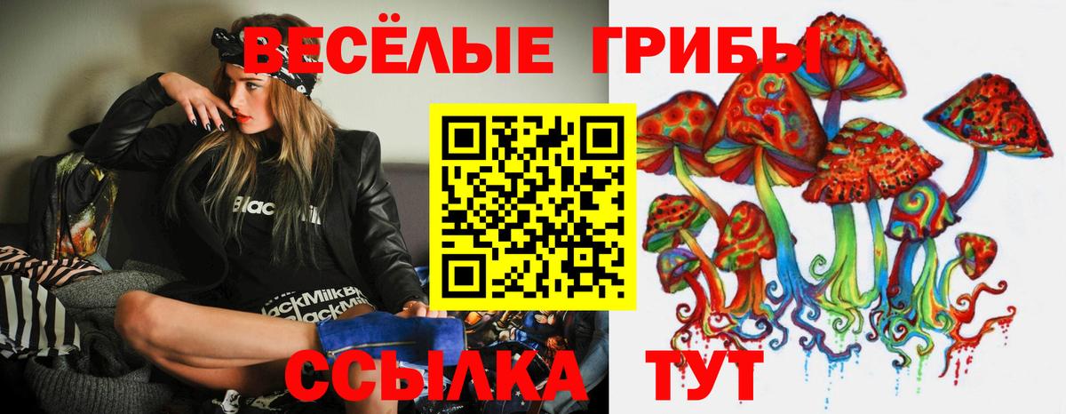 Галлюциногенные грибы Psilocybe Добрянка
